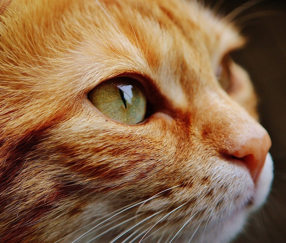 2922c6_8522e04529e34462b7ba8c56fc689f83mv2-3187423