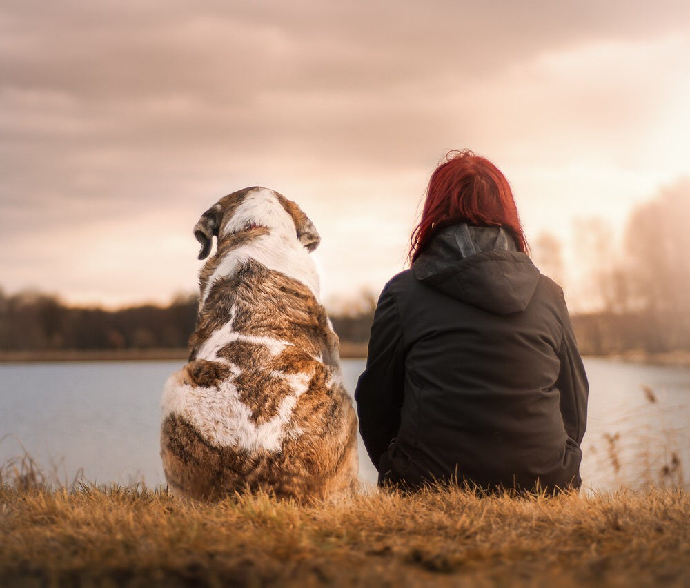 2922c6_a497ca1cfcfb4cf7ac5f1e7ec512ab9dmv2-2672182