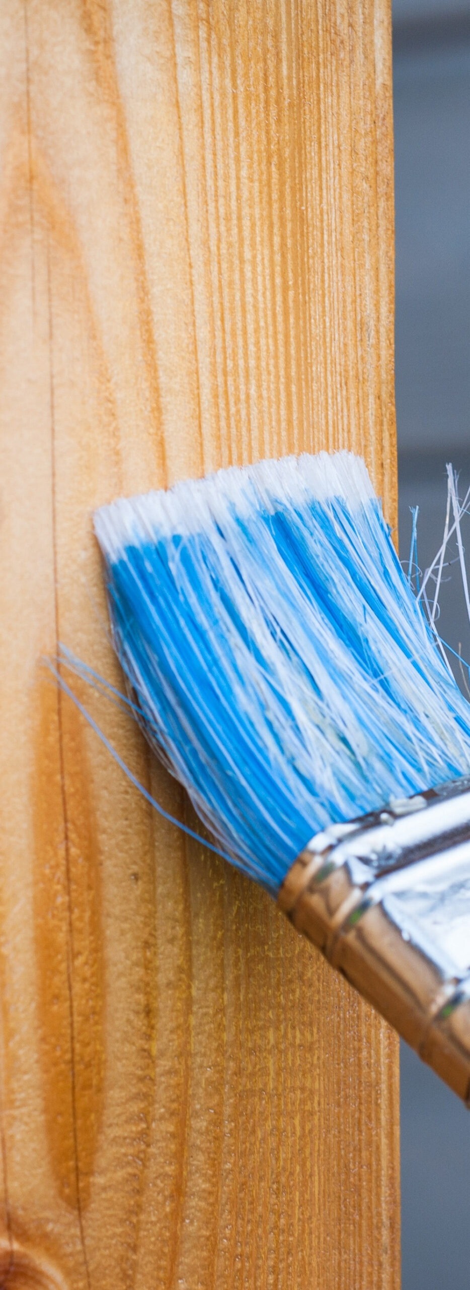 2922c6_fa373c8d99ef46599bb994aafea57b9fmv2-4978804