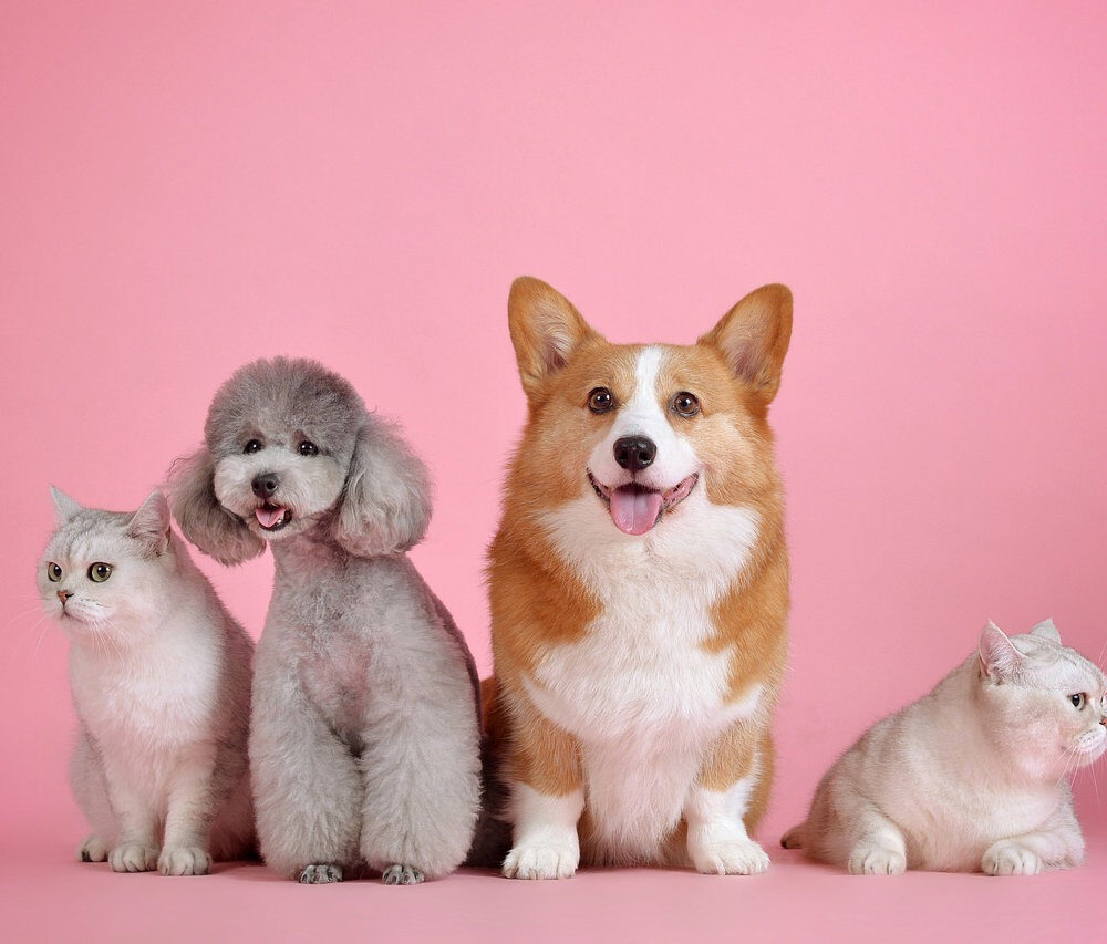 2922c6_fe854a689bf44d33a3202e5c8bcd6e3dmv2-3008771