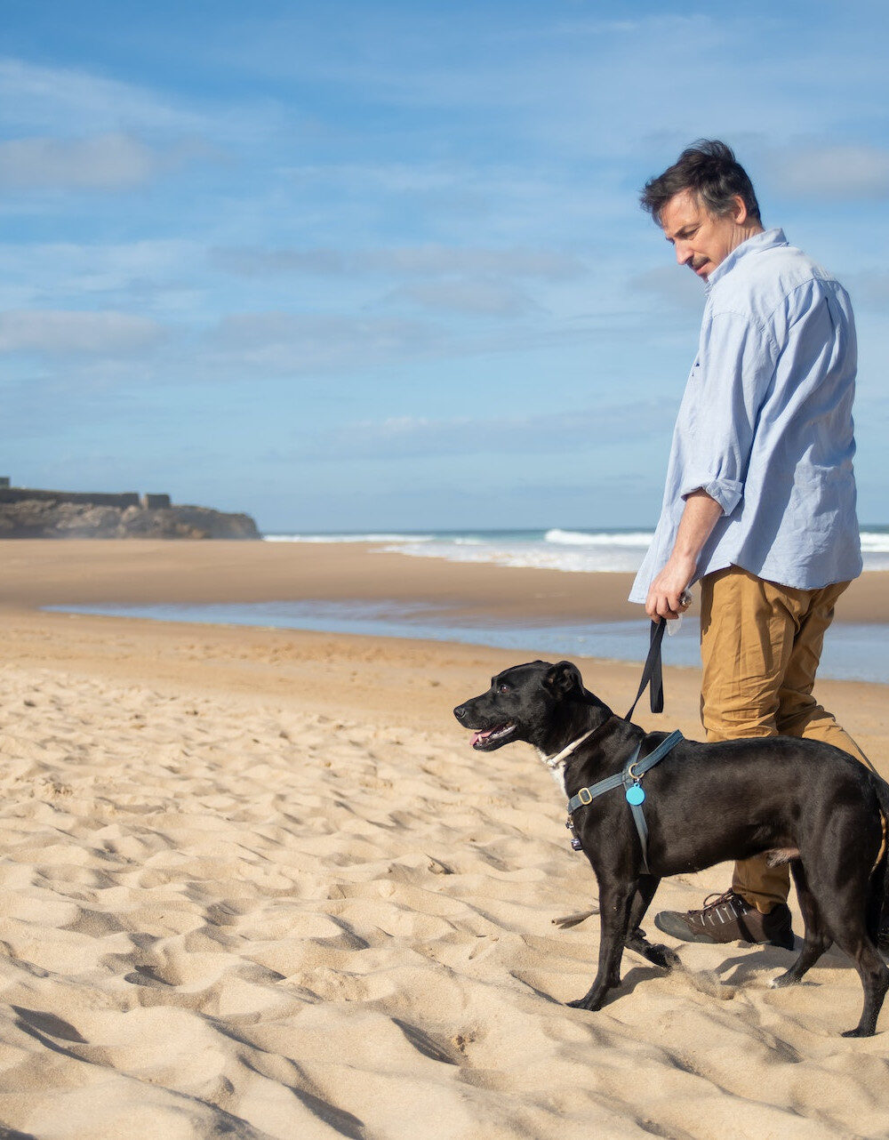 2922c6_7488c4589e1f46c5a20f46932cee6e11mv2-1205404