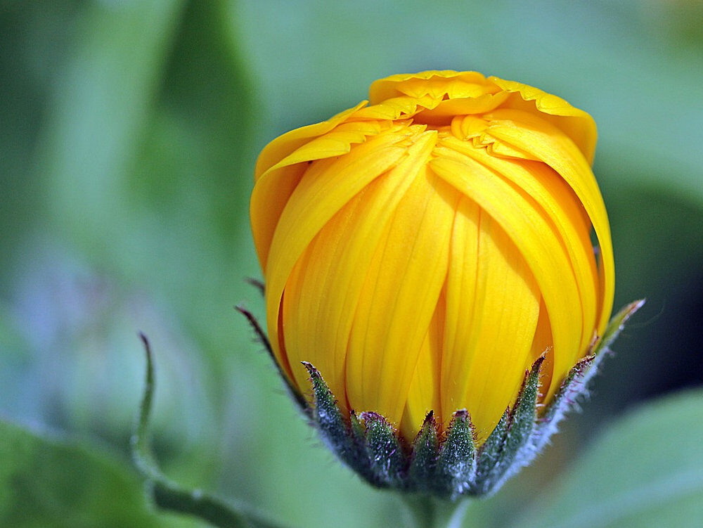 2922c6_1deaf5416a06461ab90f7630502b9a76mv2-8423833