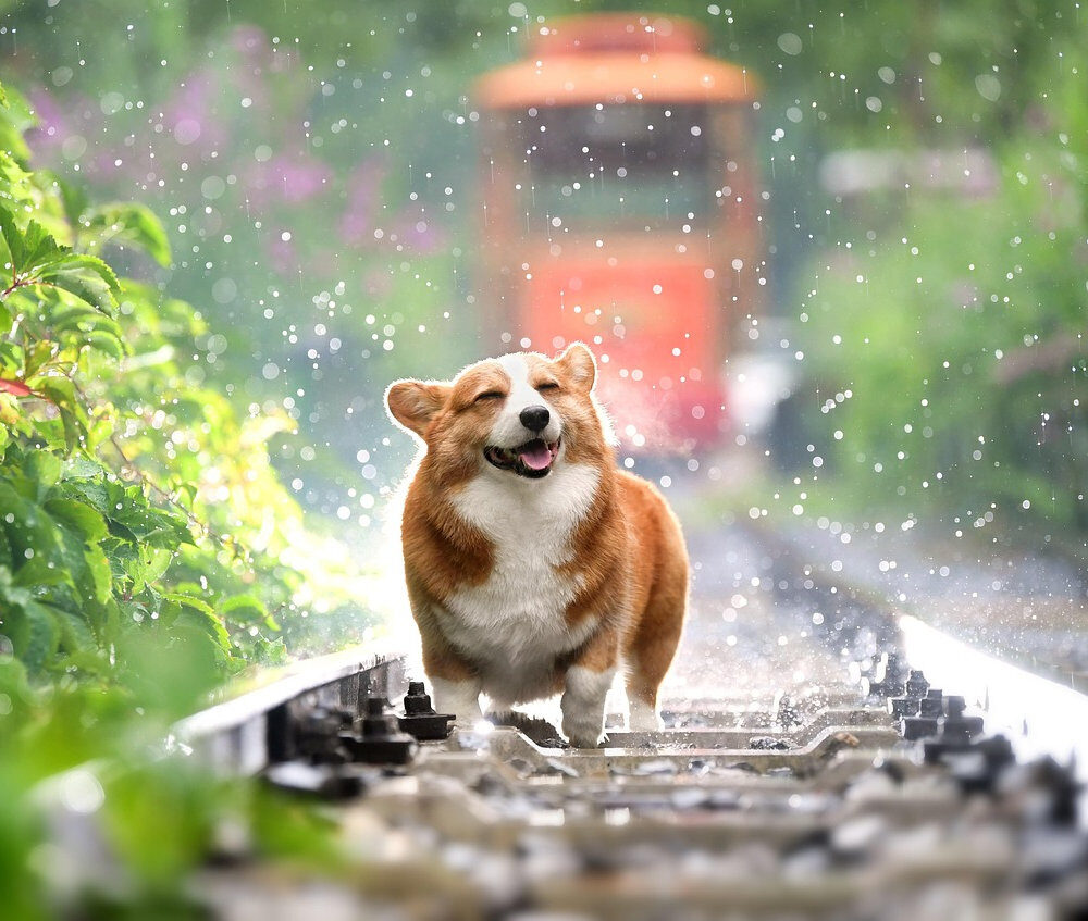 2922c6_3259bd0ef3dd428bb64f4f311deaba3amv2-1341401