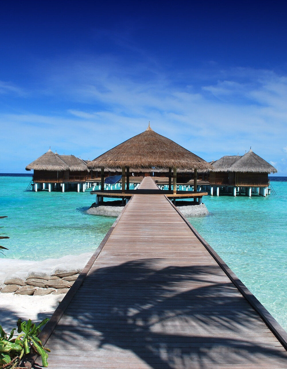 2922c6_403a776bc1e942ec8479c29711bcf90amv2-7520704