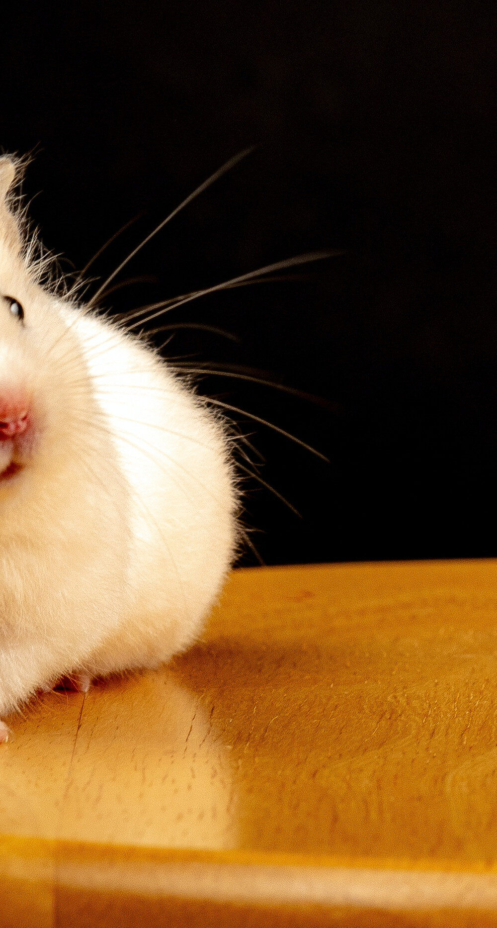 2922c6_5d758cc282c3446981785e25170fbdb0mv2-6018680