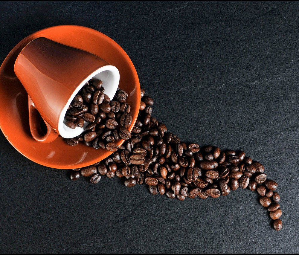 2922c6_69d3f414587043e287a162eede5c8645mv2-7025875