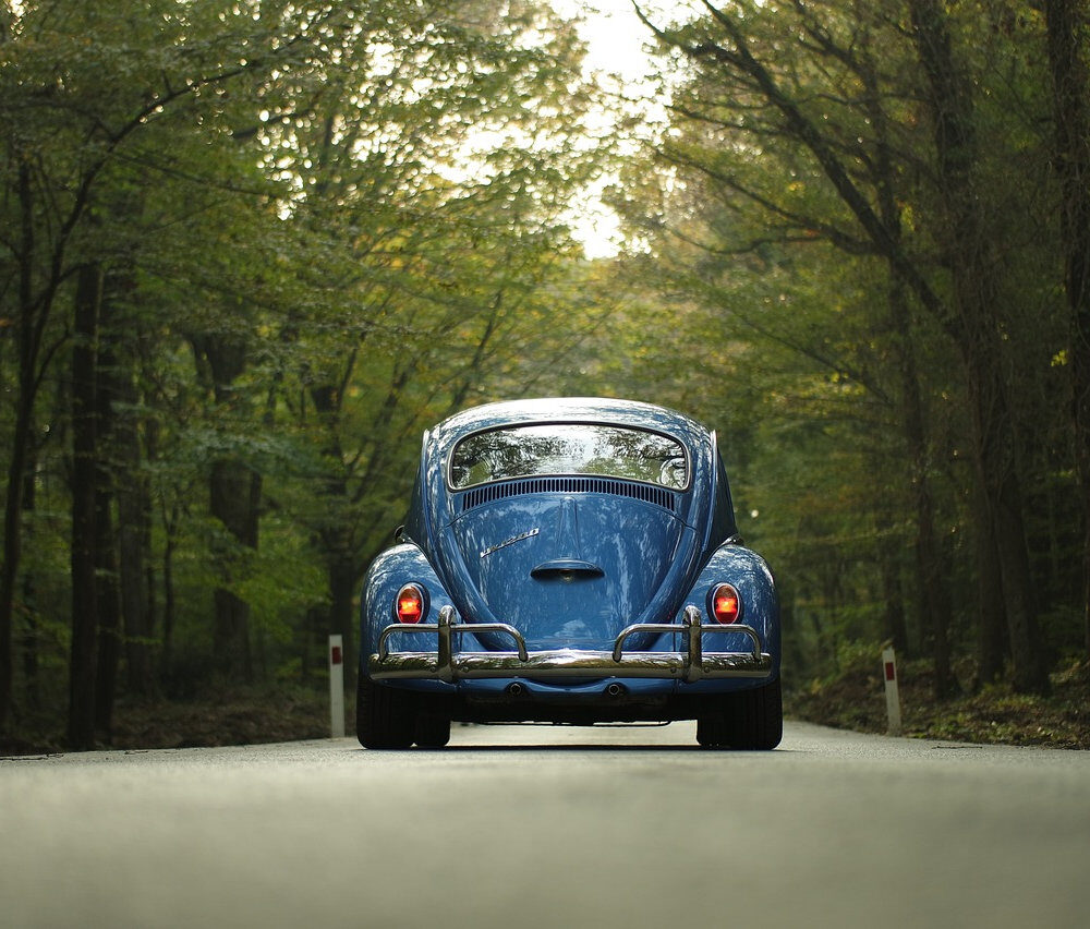 2922c6_805b52ad397d46b482a378c0565de6f4mv2-7605577