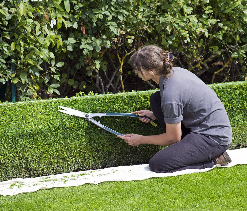 2922c6_8c3cafdc33a047ce864609da22559136mv2-3938710