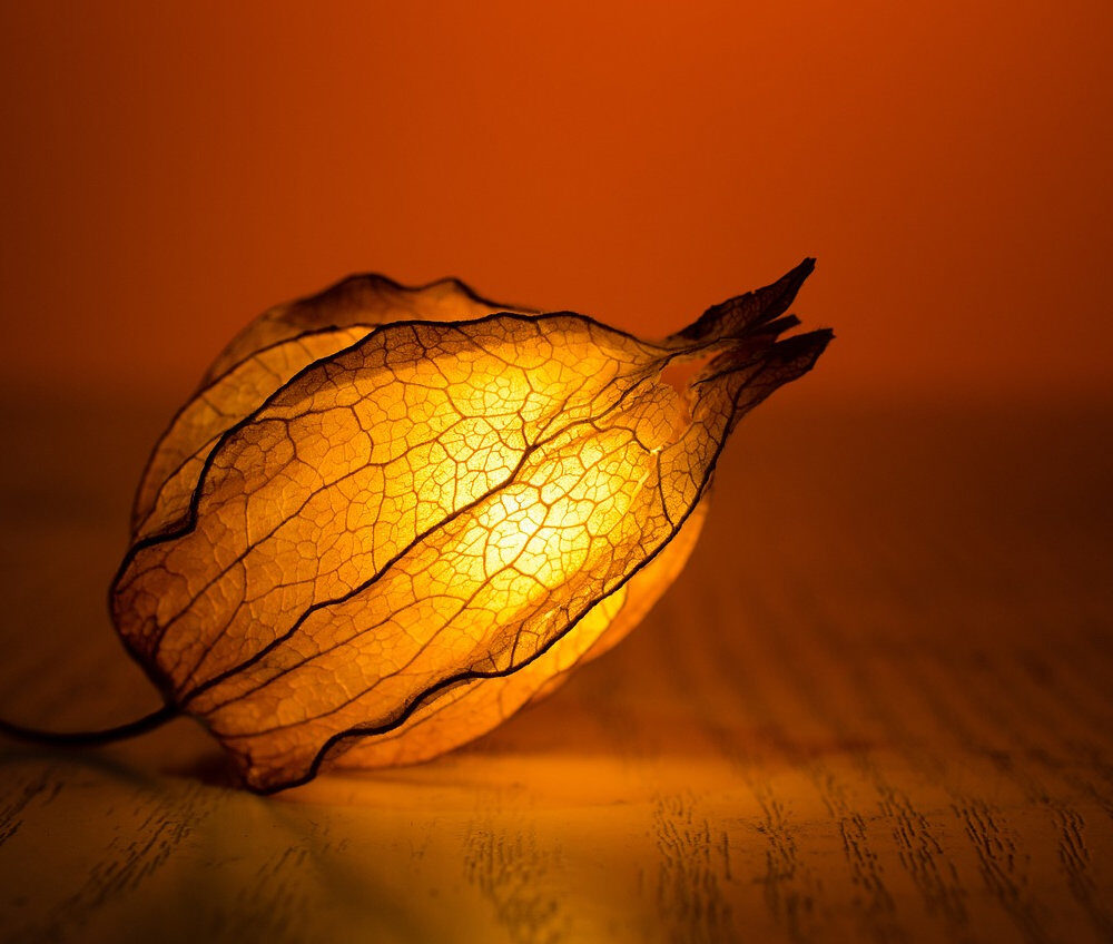 2922c6_ea3bd78e0ce94ee7993304e62a80e3d0mv2-7004746