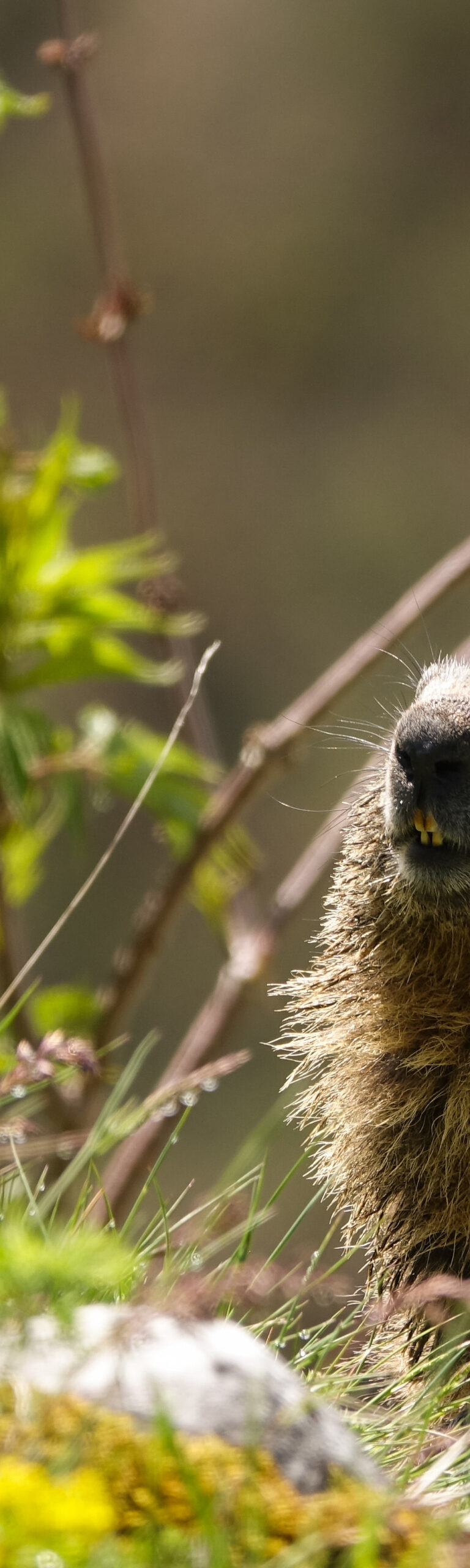 2922c6_f9d55a5b693b43cb9389c2e89104131bmv2-9033538