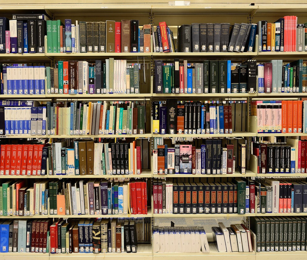 2922c6_25fb01b9c36d4569b41c227118675c0amv2-7299999