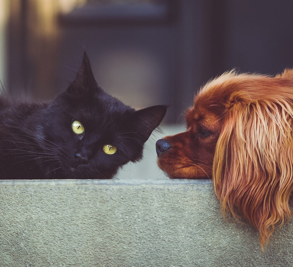 2922c6_d07789fceaf244628bb2ab0e25aace2emv2-5124640