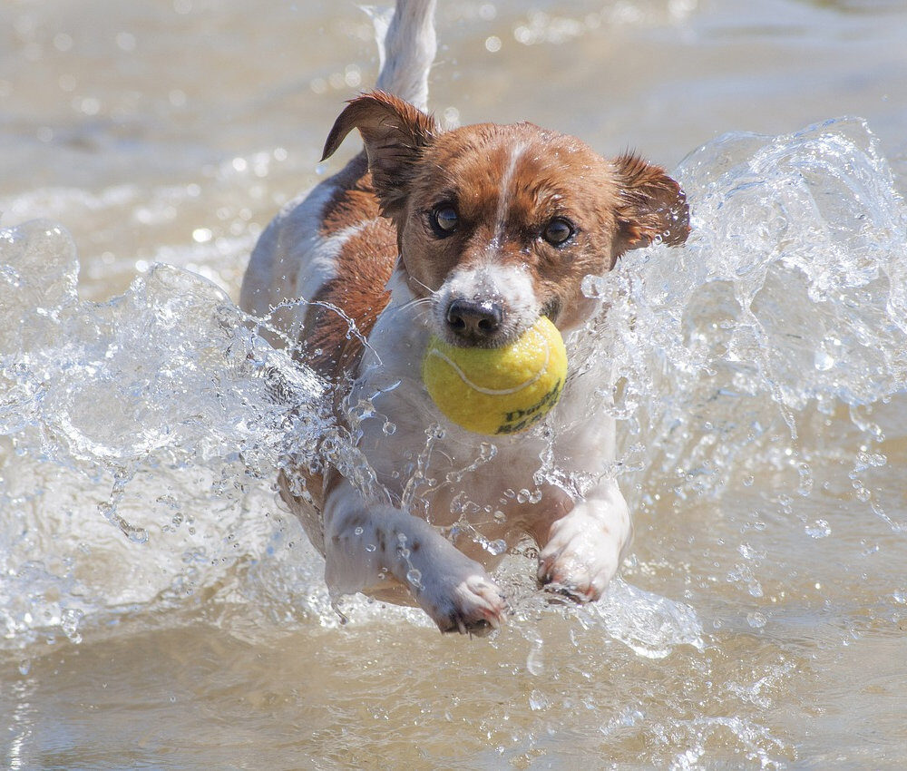 2922c6_df3892d652e742309474e1656046be9cmv2-2576469