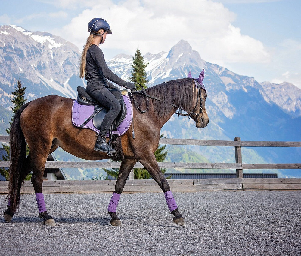 2922c6_4665074224e140e980eb2cbb9016364bmv2-5746369