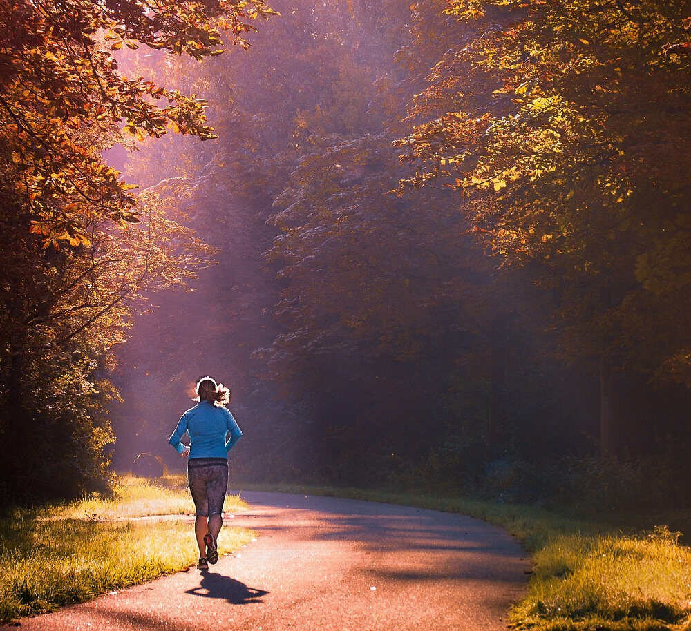 2922c6_7a5fd31aaa8644eaba14fba731a9059bmv2-1198498