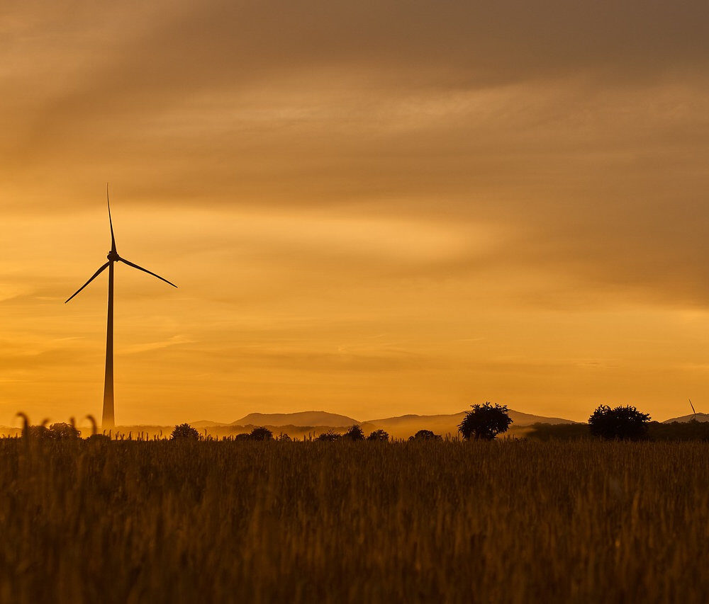 2922c6_13bdea31f7b04097a949ef6b1fc746ccmv2-9406700