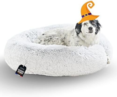 418awki1hdl-_ac_-6165579