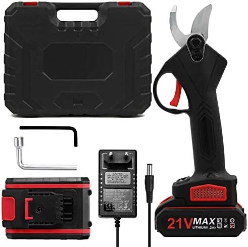 41skccypal-_ac_-2550029