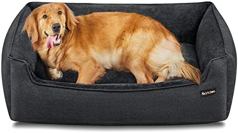 Découvrez les 4 meilleurs lits pour chiens XXL : votre compagnon ne pourra plus s&rsquo;en passer !