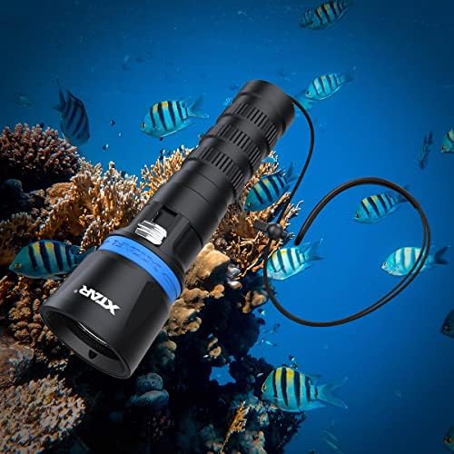 Découvrez les Lampes Magiques: Torche Ultra Puissante & Plongée Pro, Ne Manquez Pas Ça!