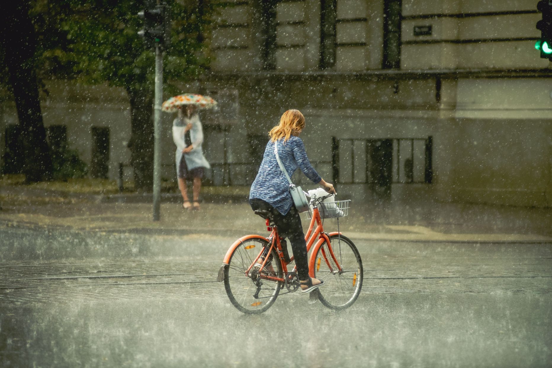 14725847t1h8d9f-8135260