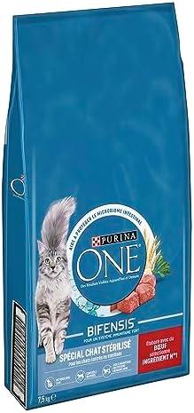 Découvrez les 4 Incontournables Croquettes pour Chats : Succès Garanti !
