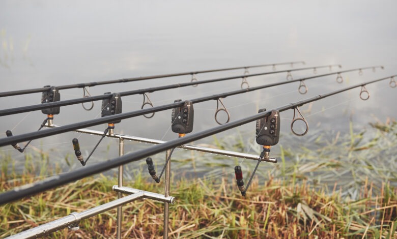 carp-fishing-rods-standing-on-special-tripods-expensive-coils-and-a-radio-system-of-crochet