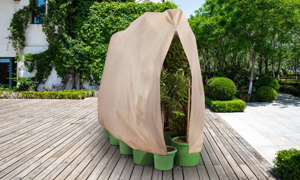 housses-d-hivernage-pour-plantes-3782349