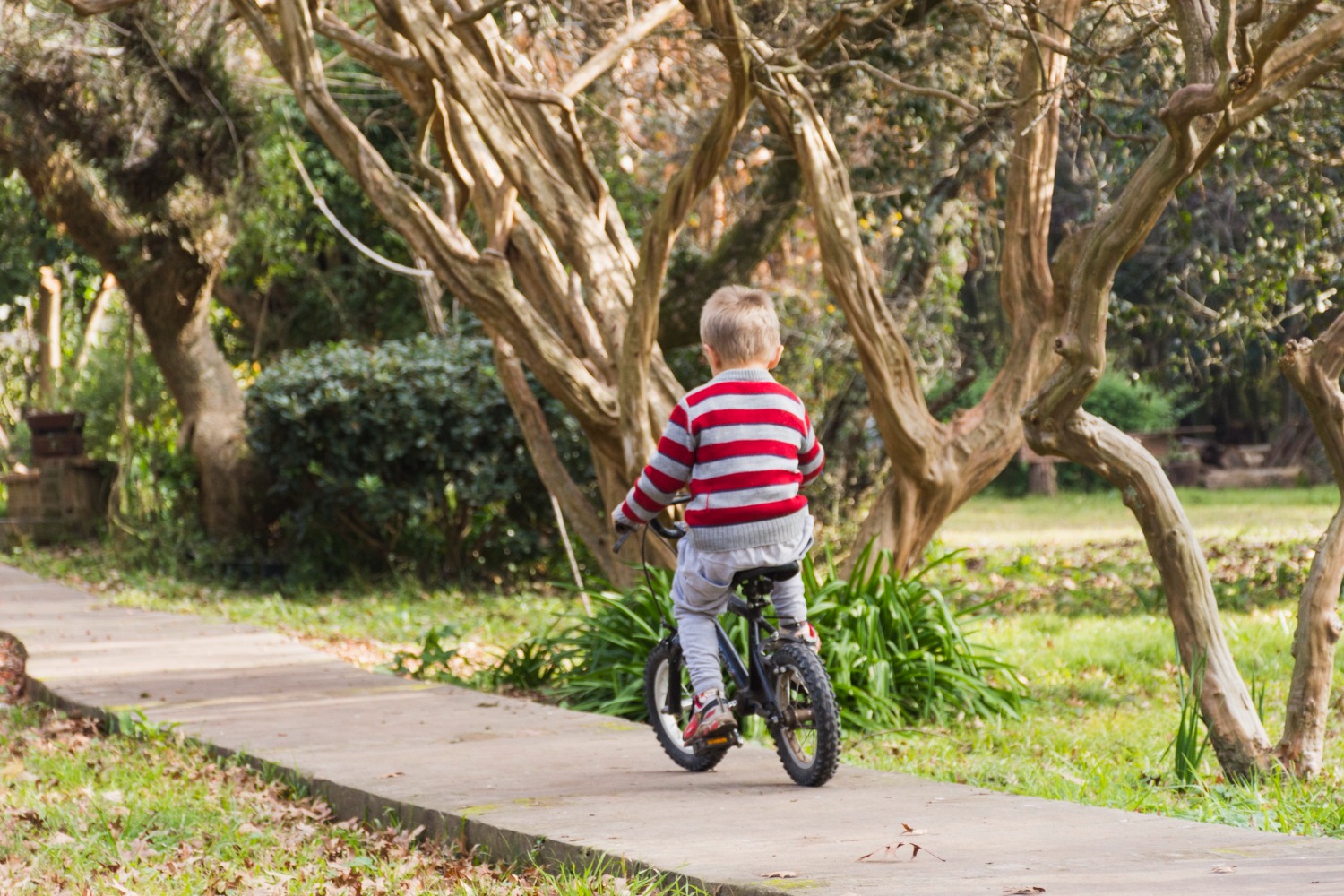 vue-posterieure-garcon-faire-du-velo-chemin-beton-2528748