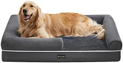 Découvrez les lits pour chiens et chats les plus cozy et pratiques ! ✨🐾🛏️