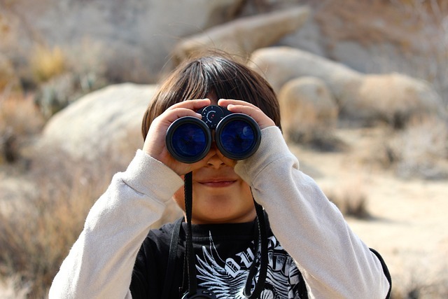 binoculars-100590_640-7126518