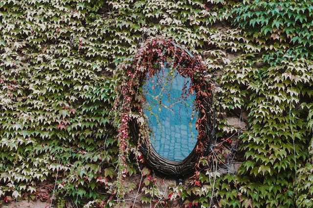 pexels-masood-aslami-19429336-1222327 pexels-masood-aslami-19429336-1222327