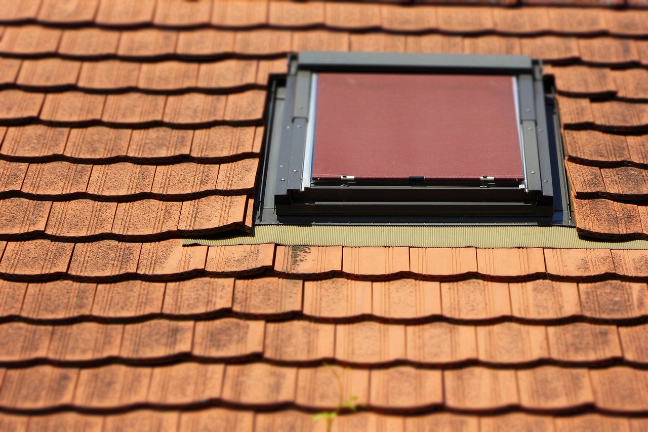 roof-885780_1280-4395748