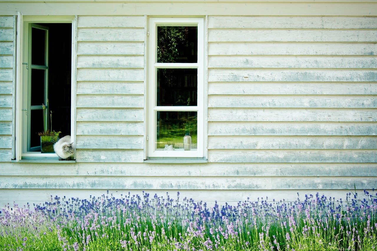 wooden-facade-1169306_1280-9257182