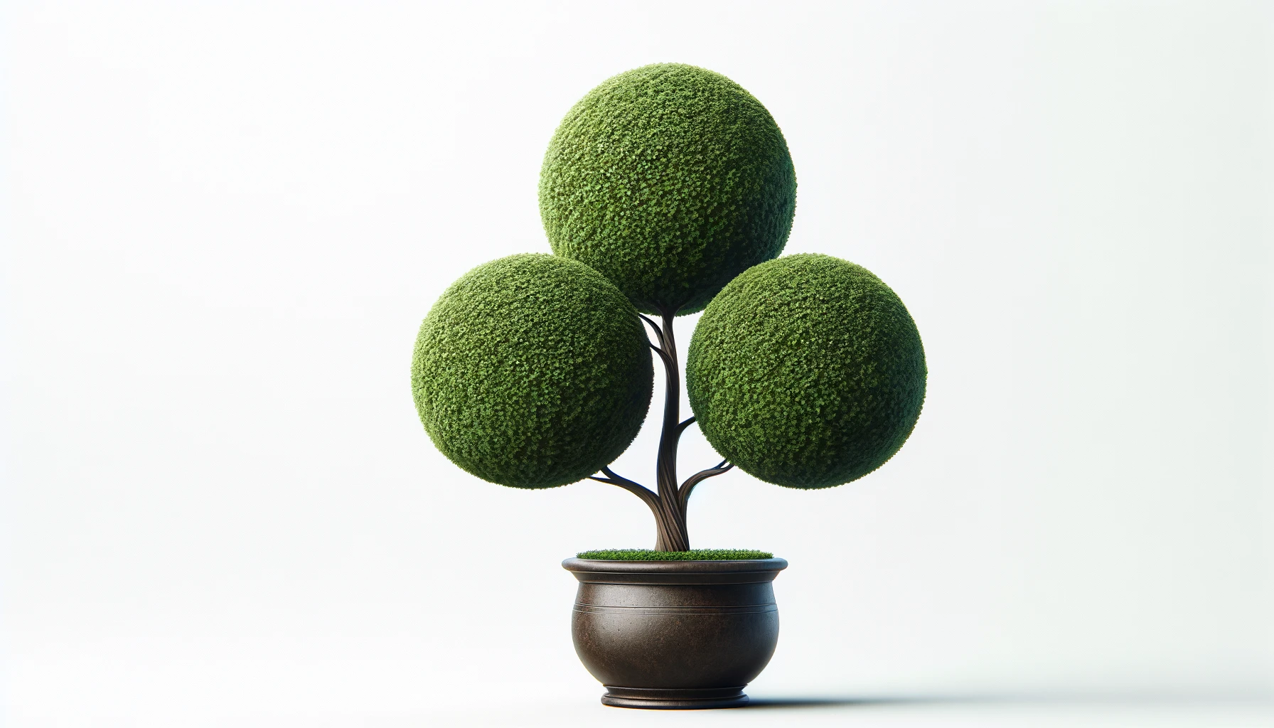 DALL·E-2024-02-07-19.52.22-Create-an-image-of-a-topiary-tree-with-three-perfectly-spherical-green-bushes-of-different-sizes-arranged-vertically.-The-bushes-are-manicured-and-hav-1108477 dall%c2%b7e-2024-02-07-19-52-22-create-an-image-of-a-topiary-tree-with-three-perfectly-spherical-green-bushes-of-different-sizes-arranged-vertically-the-bushes-are-manicured-and-hav-1108477