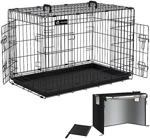 Top 4 des accessoires pour chien : Offrez le meilleur à votre animal !