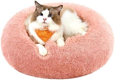 Nouveautés Confort Animaux : Paniers Douillets et Griffoirs Tendance à Saisir !