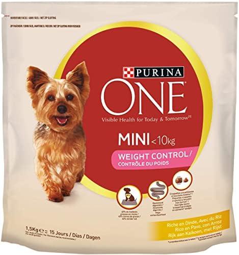 4 Incontournables pour le Bien-être de Votre Chien ! A Découvrir Vite