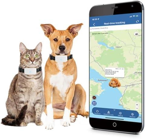 Découvrez les colliers GPS & dressage ultimes pour chien/chat – Transformez leur comportement en un clic !