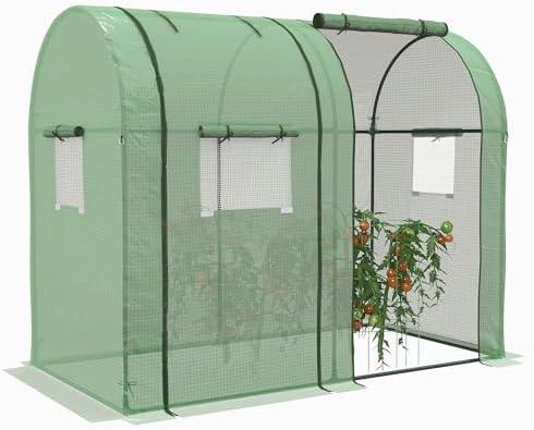 Ne manquez pas la Serre Outsunny 1,8m² : Cultivez des tomates à tomber! 🍅☀️