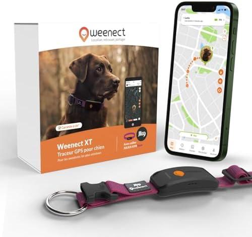 Découvrez les Meilleurs GPS pour Chiens & Chats : Sécurité et Tranquillité Assurées !