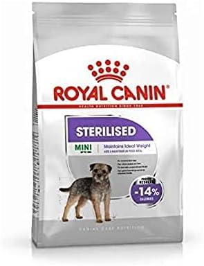 Découvrez les produits incontournables pour chouchouter vos animaux en 2022 !