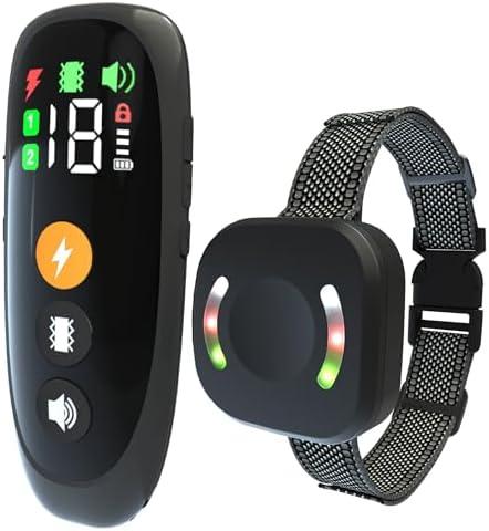 Découvrez le Top 4 des Colliers de Dressage Innovants pour Chiens – Agissez vite !