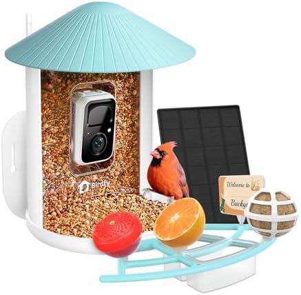 Découvrez les mangeoires à oiseaux high-tech qui révolutionnent l&rsquo;ornithologie !
