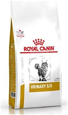 Découvrez ces régimes véto exclusifs pour chiens et chats : AGISSEZ VITE !