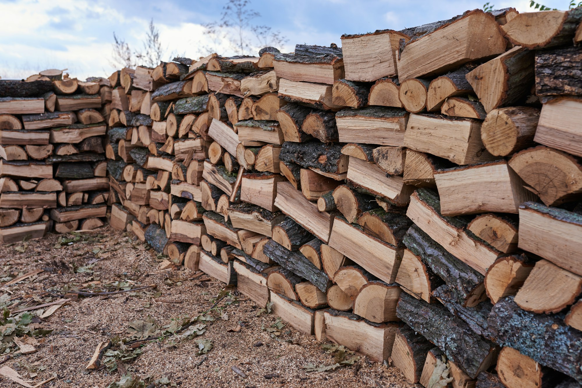 Arnaque en ligne à la vente de bois de chauffage : Trois individus condamnés en France